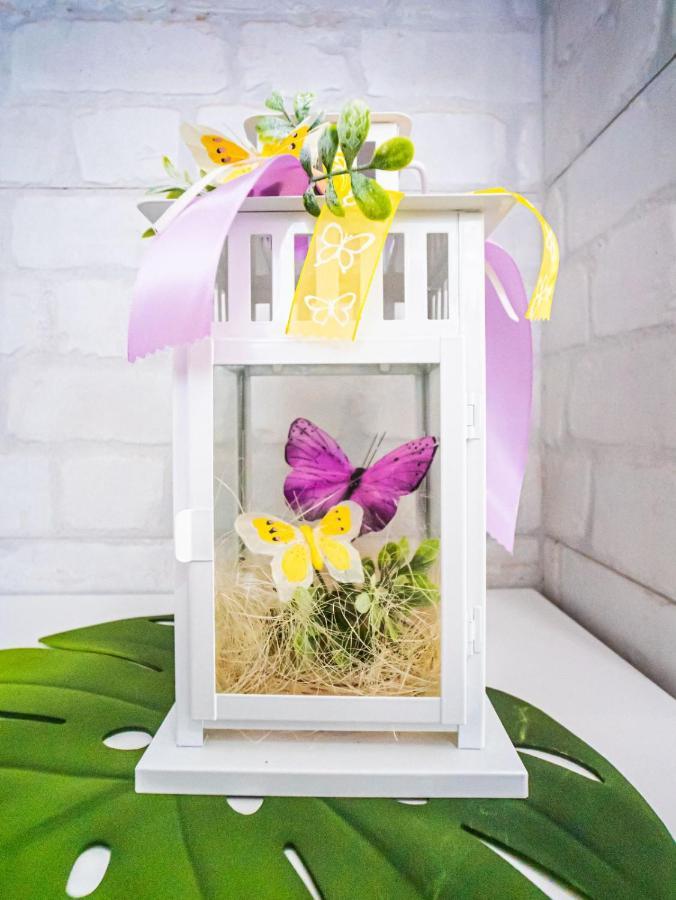 קוסטה דל סילנסיו Mariposa En Frontera/Primavera מראה חיצוני תמונה